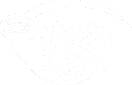 WIZO USA logo
